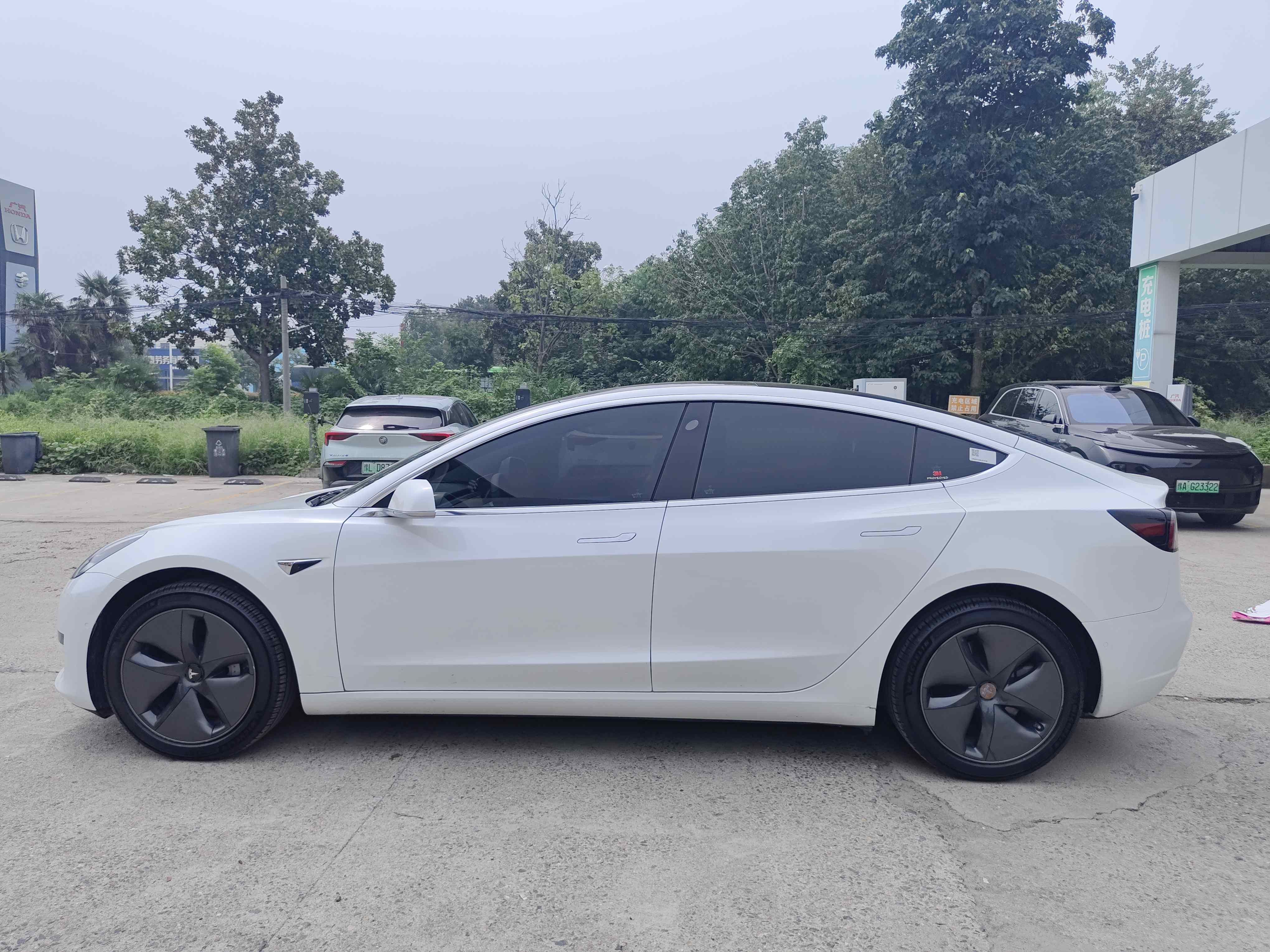 Tesla Model 3 2020 car image #5