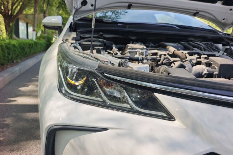 Toyota Corolla 2021 car image #8