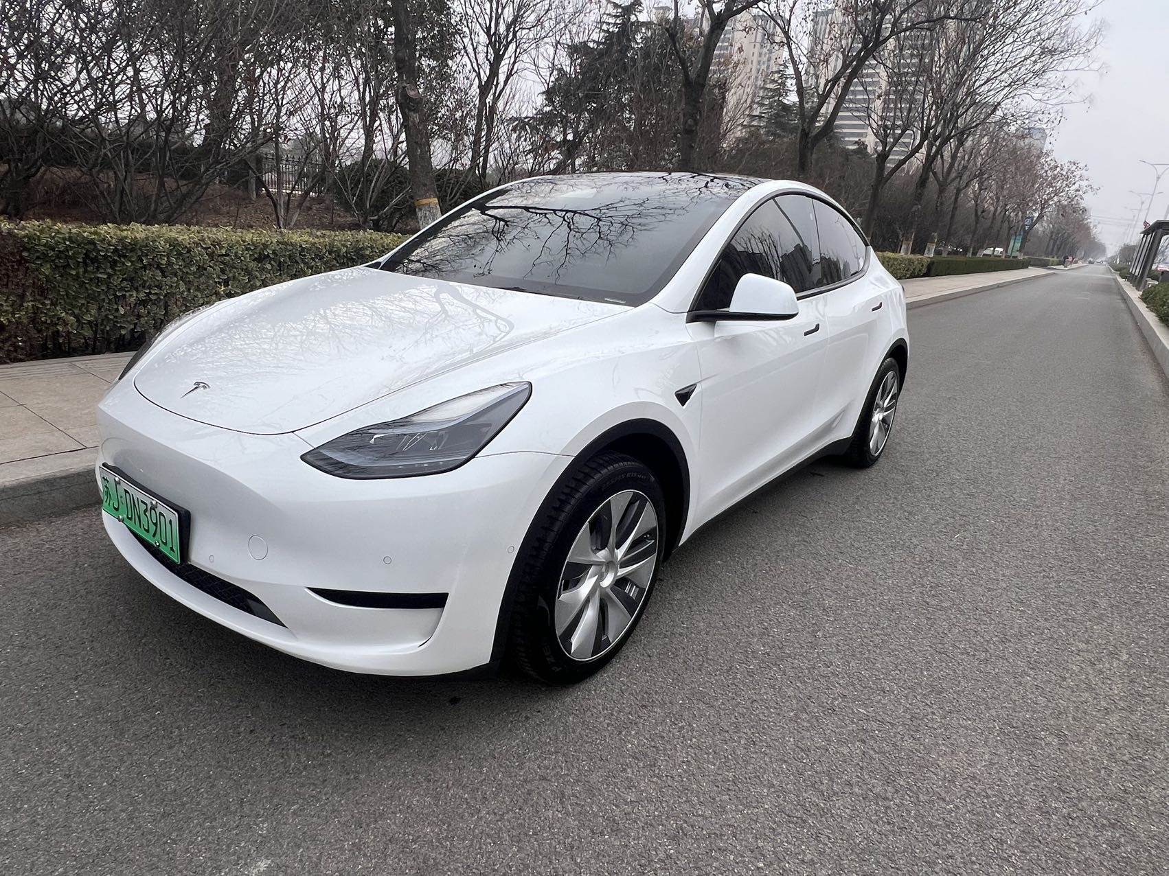 Tesla Model Y 2023 Tesla Model Y 2023 car image