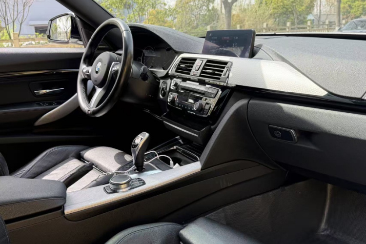 BMW 3 Series GT 2019 car image #15
