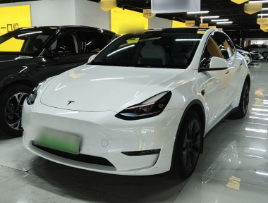 Tesla Model Y 2023 Tesla Model Y 2023 car image