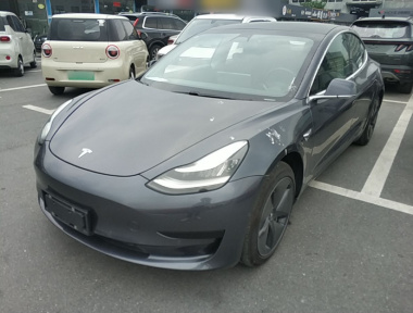 Tesla Model 3 2020 Tesla Model 3 2020 car image