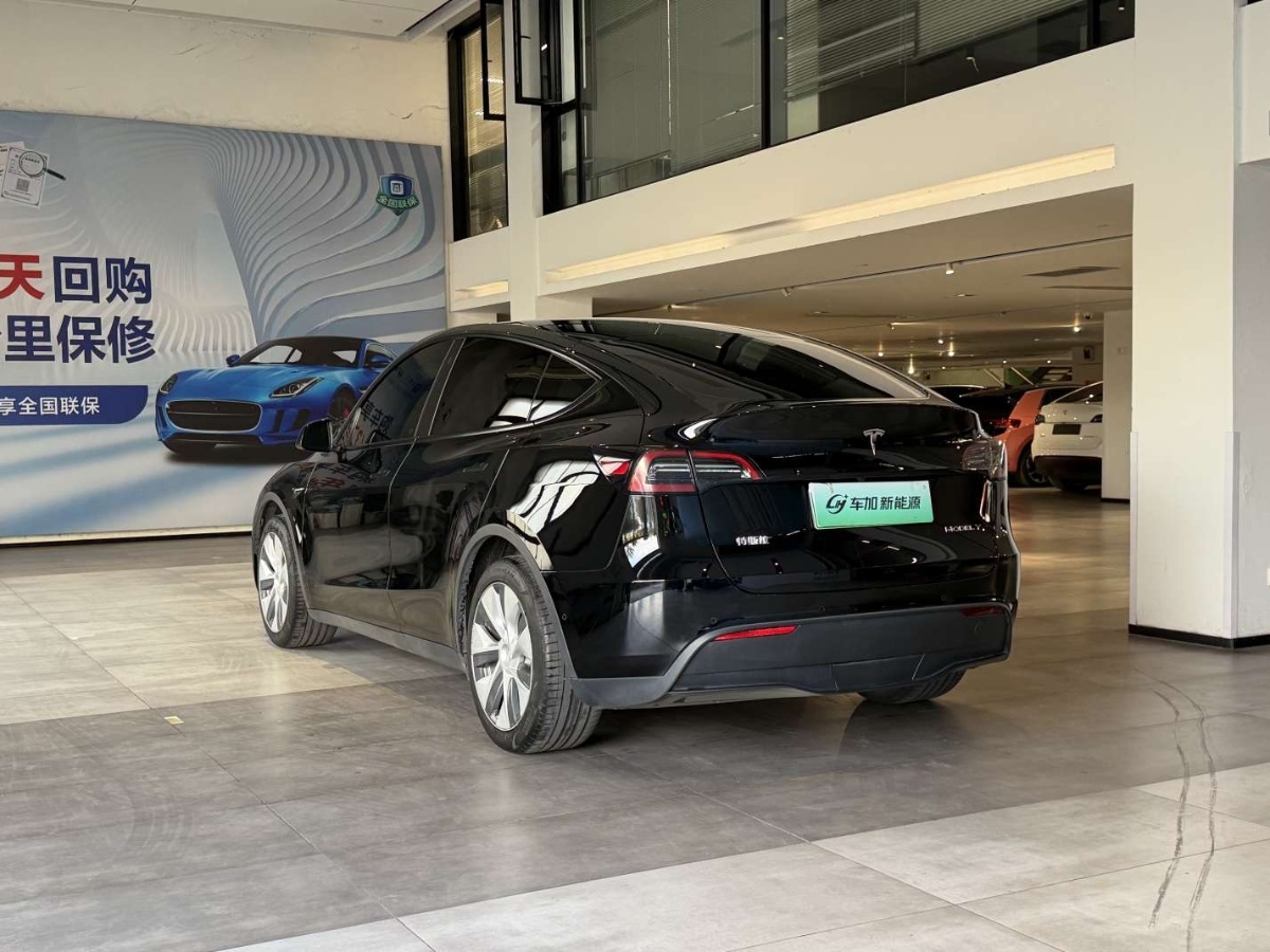 Tesla Model Y 2023 #7 Tesla Model Y 2023 car image #7
