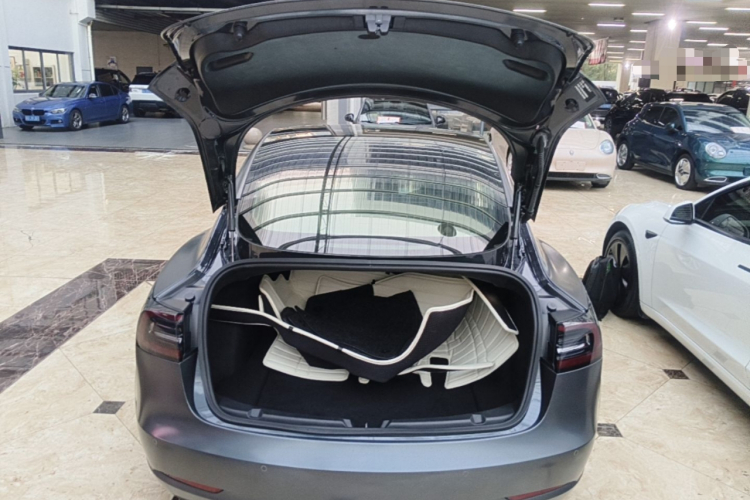 Tesla Model 3 2020 #19 Tesla Model 3 2020 صورة سيارة #19