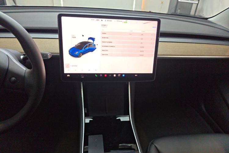 Tesla Model 3 2020 #13 Tesla Model 3 2020 car image #13