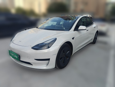Tesla Model 3 2023 Tesla Model 3 2023 car image