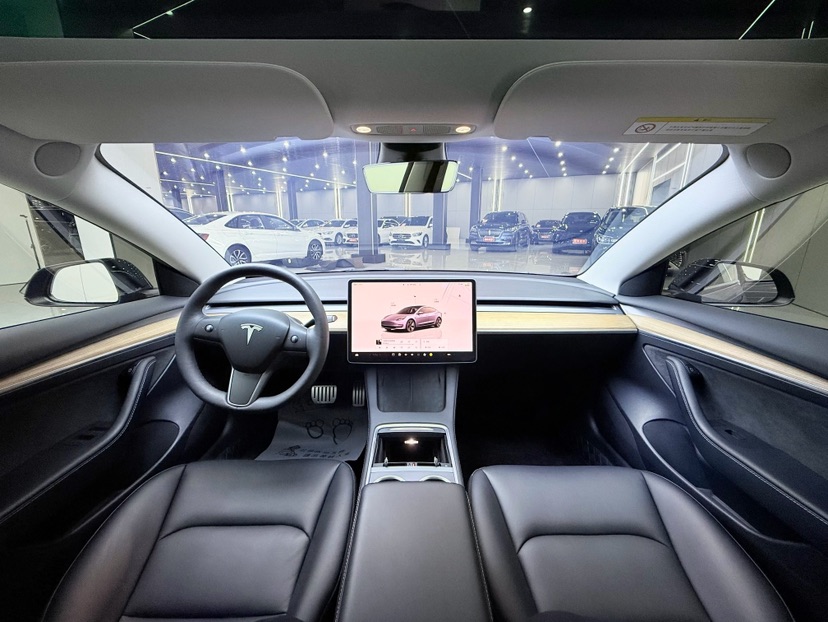 Tesla Model 3 2023 car image #6