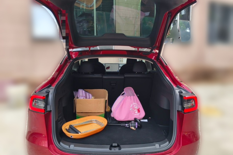 Tesla Model Y 2024 car image #17