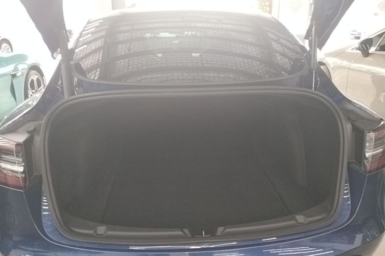 Tesla Model 3 2021 #19 Tesla Model 3 2021 immagine di auto #19
