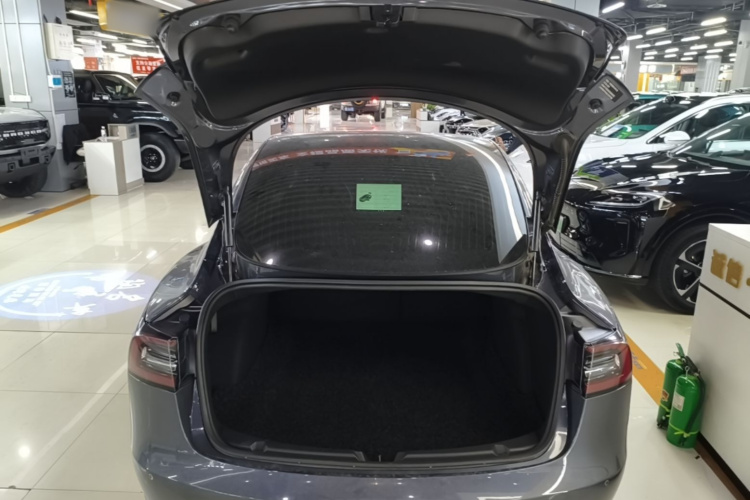 Tesla Model 3 2020 car image #19