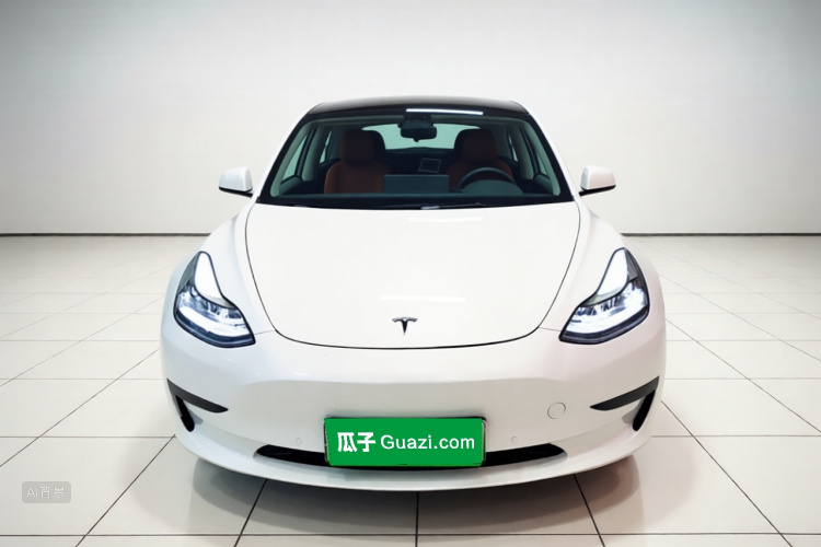Tesla Model 3 2021 #3 Tesla Model 3 2021 car image #3