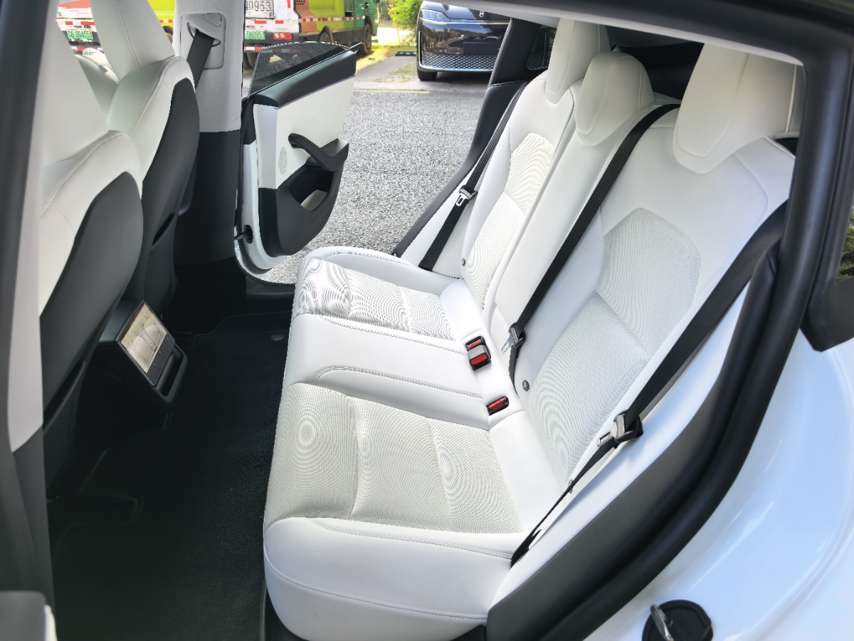 Tesla Model 3 2024 immagine di auto #8