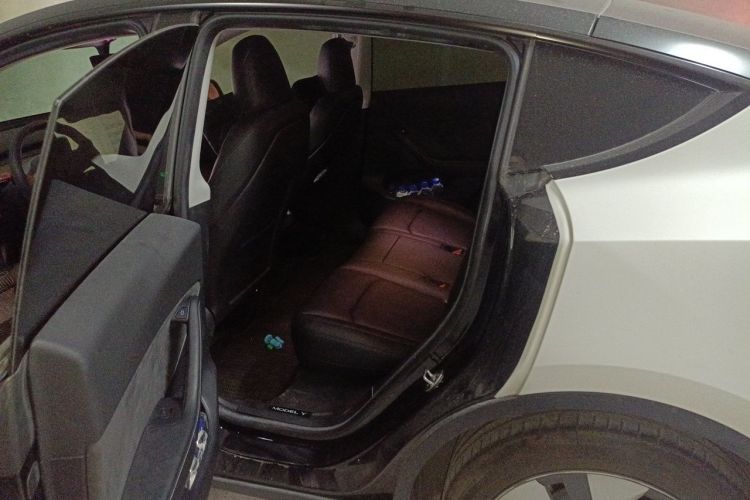 Tesla Model Y 2022 car image #10