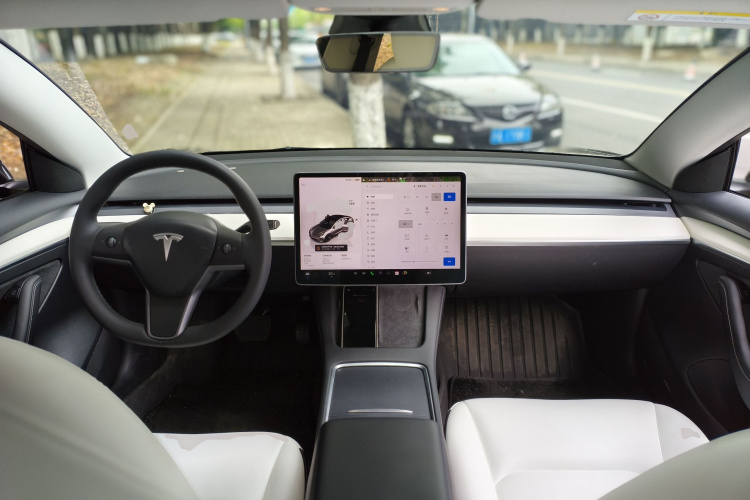Tesla Model 3 2023 car image #10