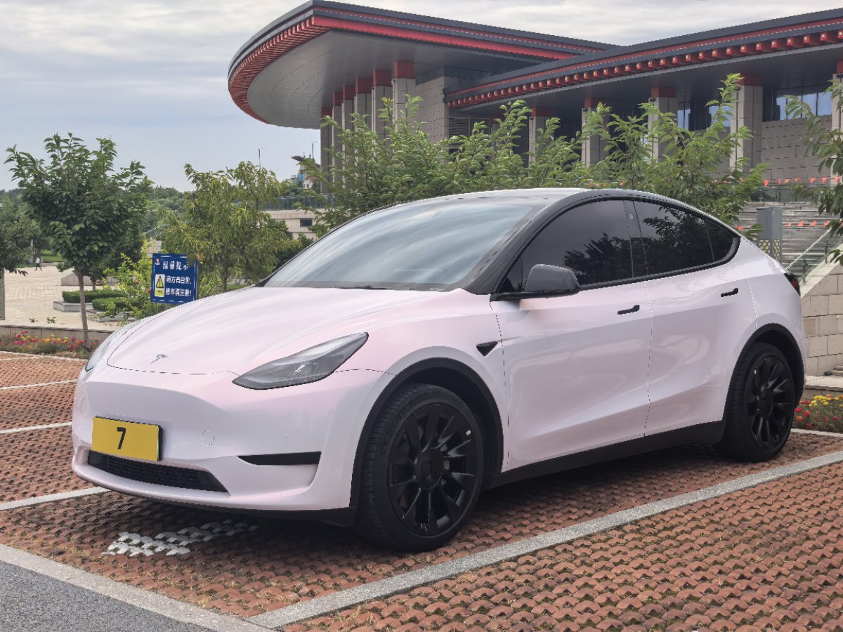 Tesla Model Y 2023 car image 