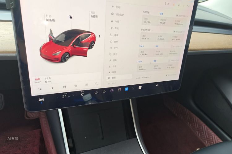 Tesla Model 3 2020 car image #15