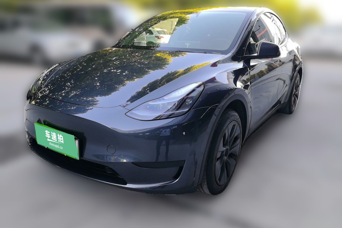 Tesla Model Y 2024 Tesla Model Y 2024 car image
