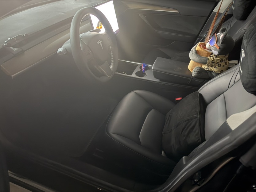 Tesla Model 3 2021 #2 Tesla Model 3 2021 car image #2