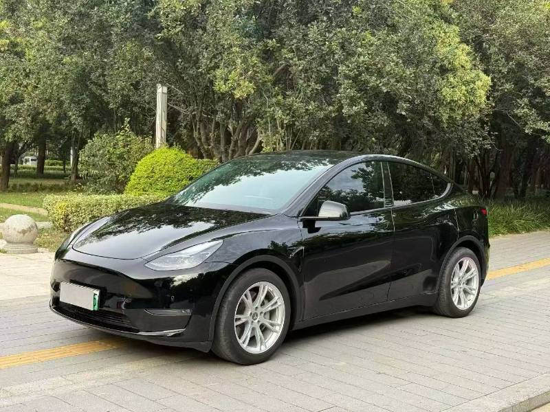 Tesla Model Y 2021 car image 