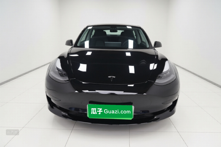Tesla Model 3 2021 car image #3