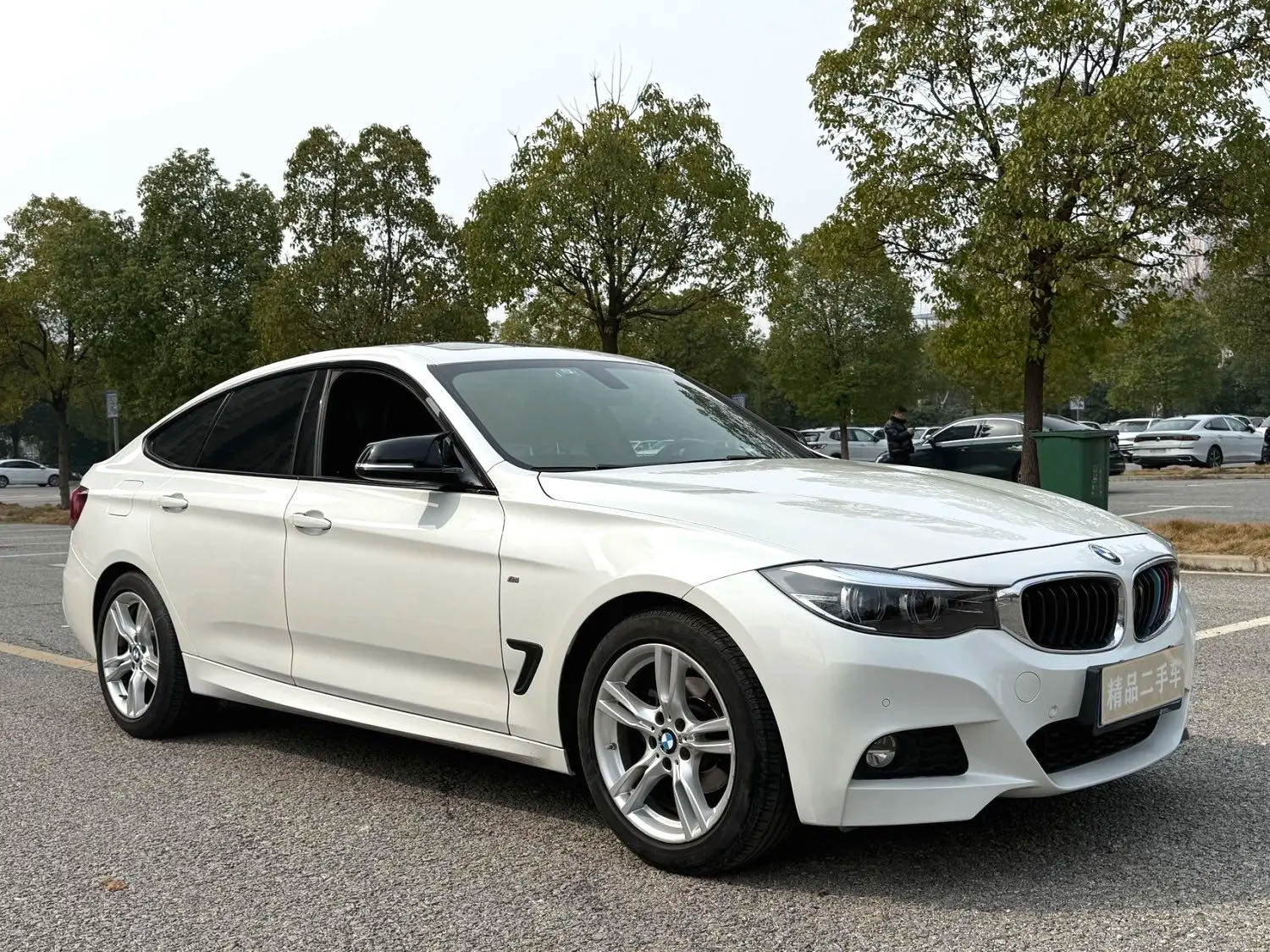 BMW 3 Series GT 2019 #3 BMW 3 Series GT 2019 car image #3