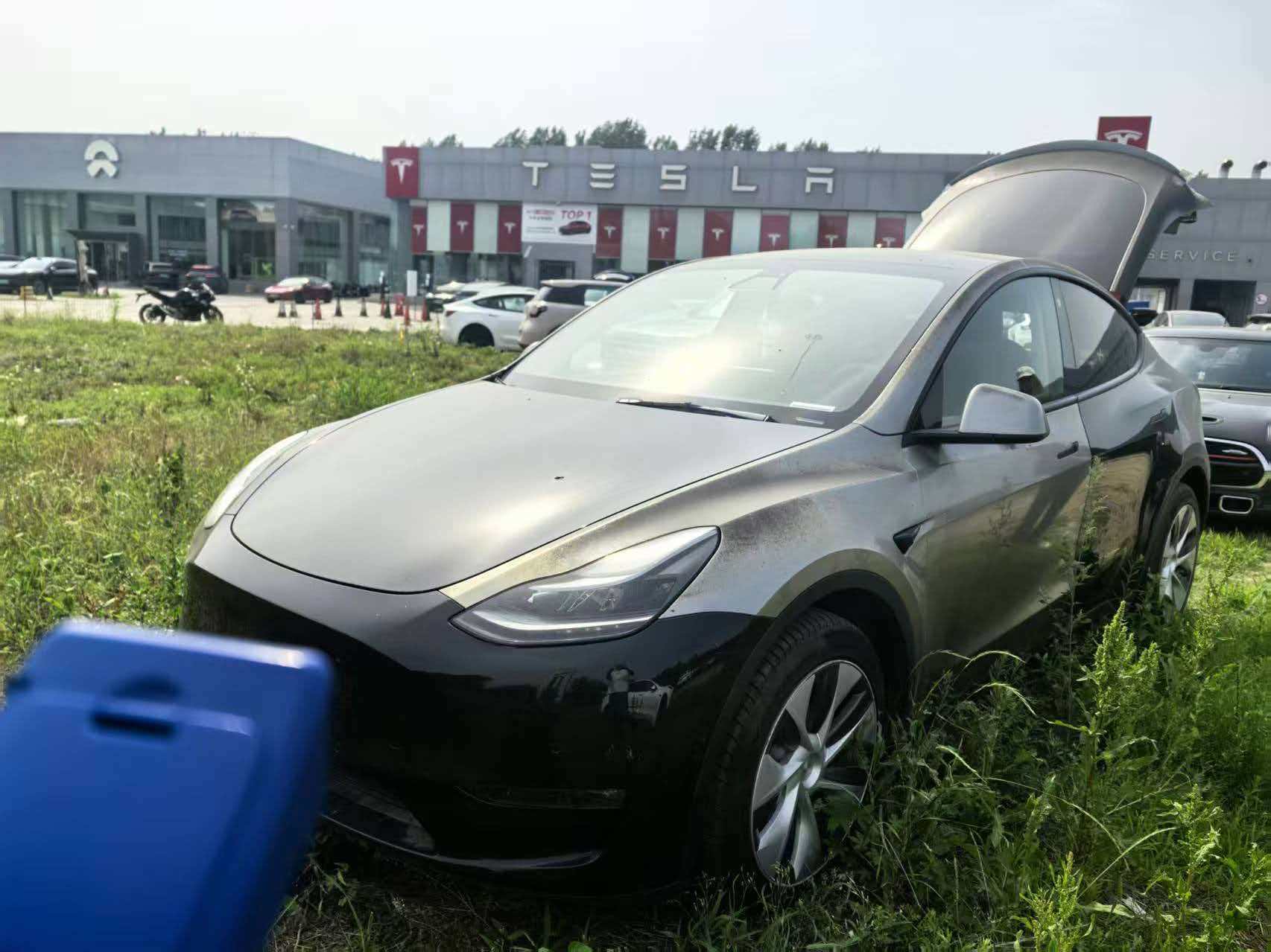 Tesla Model Y 2021 car image 