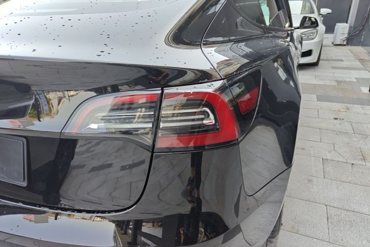 Tesla Model 3 2021 #8 Tesla Model 3 2021 car image #8
