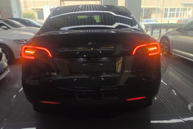 Tesla Model Y 2024 car image #6
