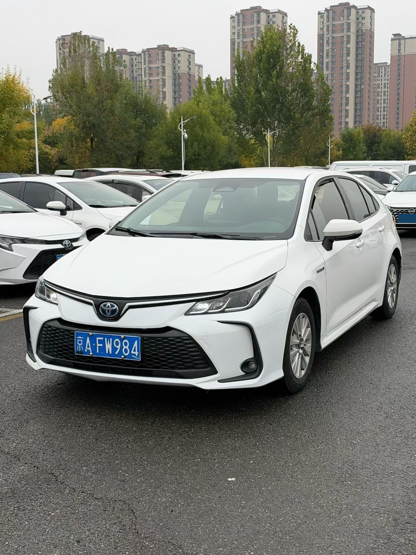 Toyota Corolla 2023 Toyota Corolla 2023 car image