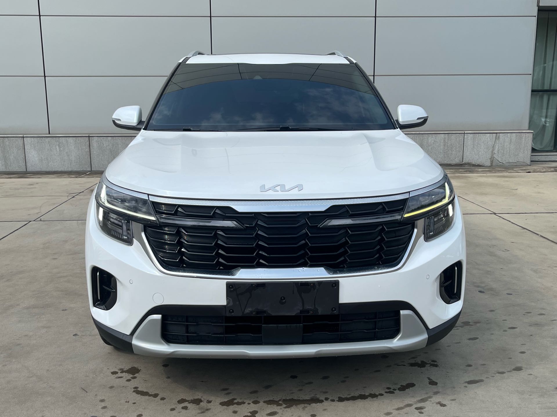 Kia Seltos 2024 immagine di auto #2