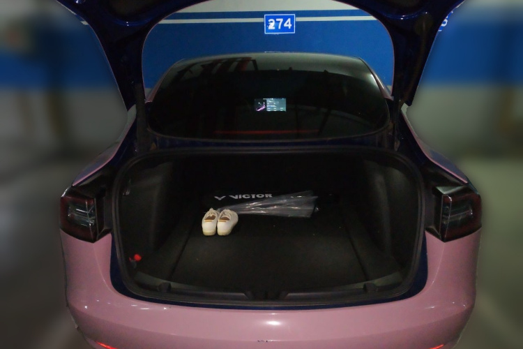 Tesla Model 3 2021 #21 Tesla Model 3 2021 car image #21