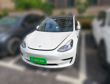Tesla Model 3 2022 Tesla Model 3 2022 car image