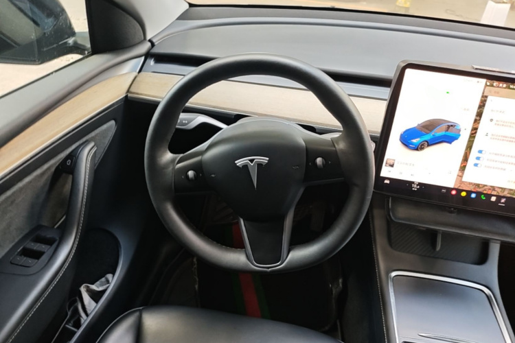 Tesla Model Y 2022 immagine di auto #14