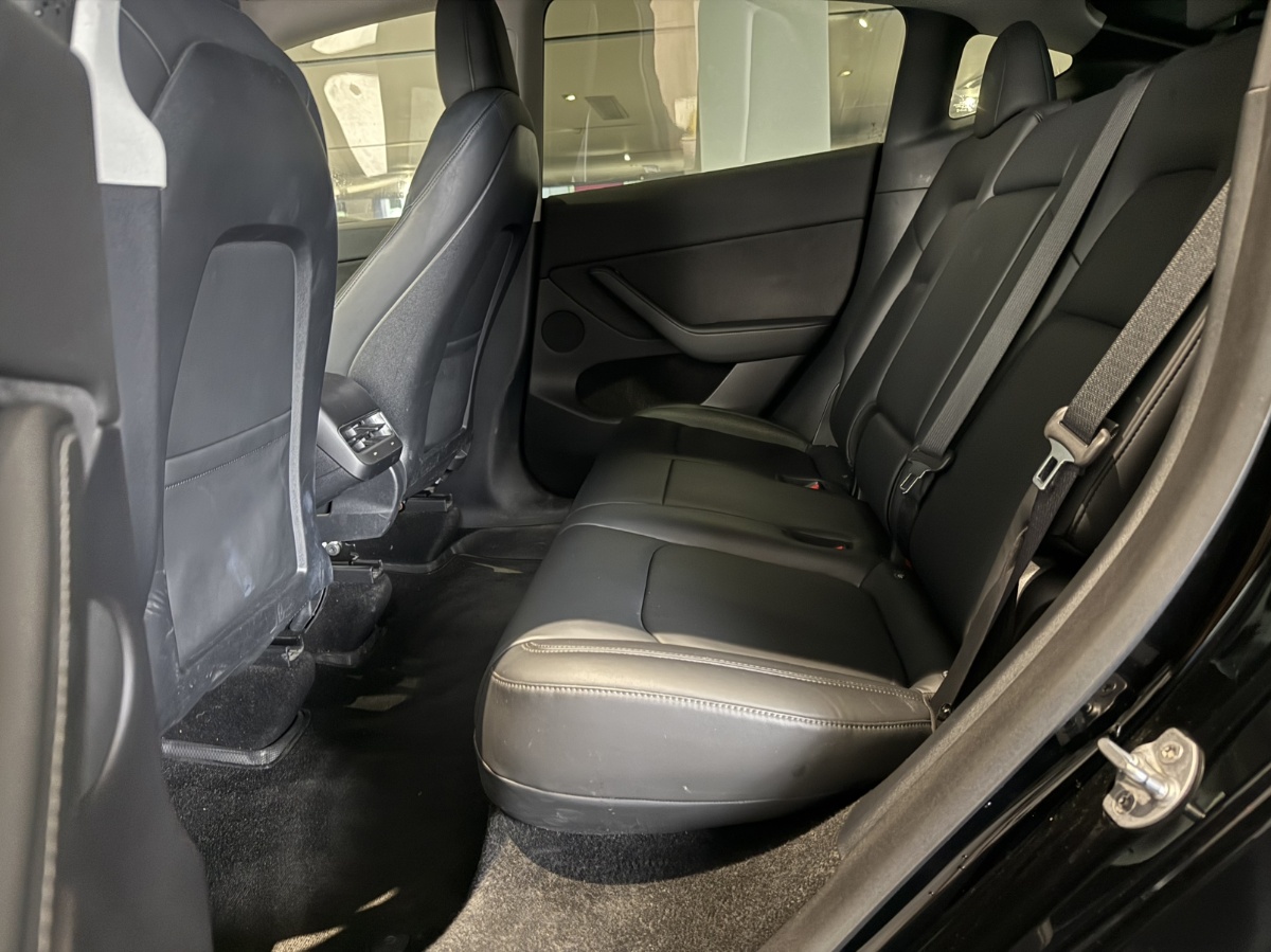 Tesla Model Y 2021 #5 Tesla Model Y 2021 car image #5