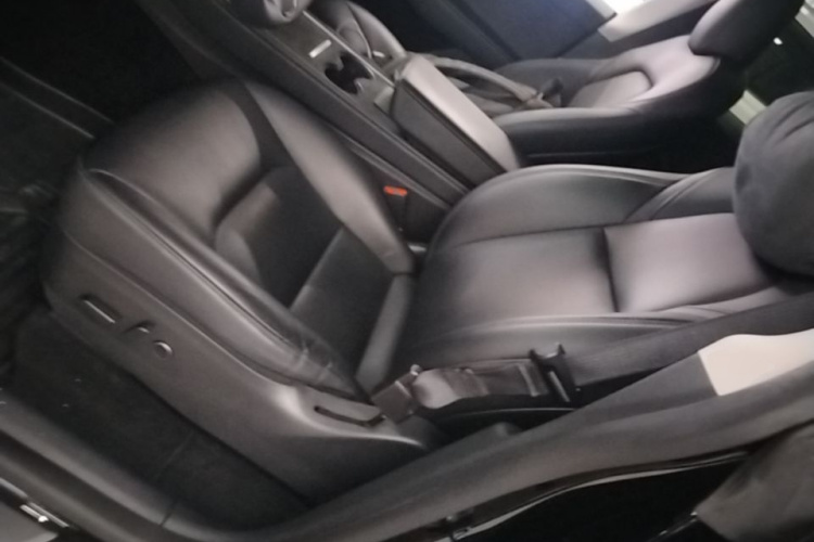 Tesla Model Y 2021 car image #15