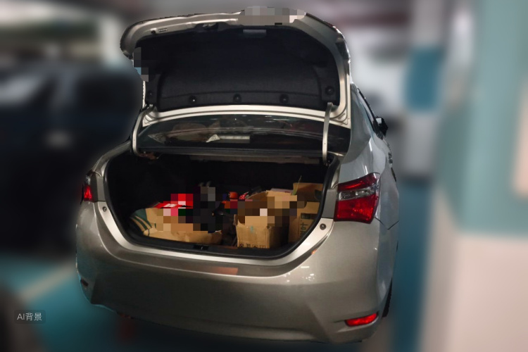 Toyota Corolla 2017 car image #21