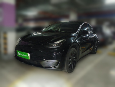 Tesla Model Y 2023 Tesla Model Y 2023 car image