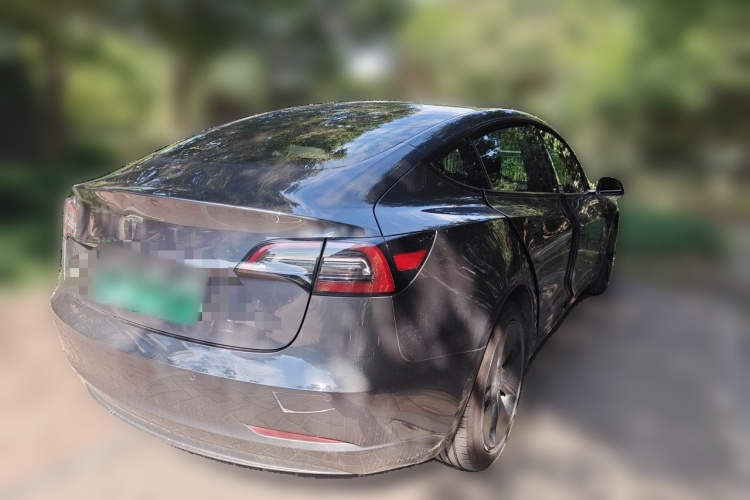 Tesla Model 3 2021 #5 Tesla Model 3 2021 car image #5