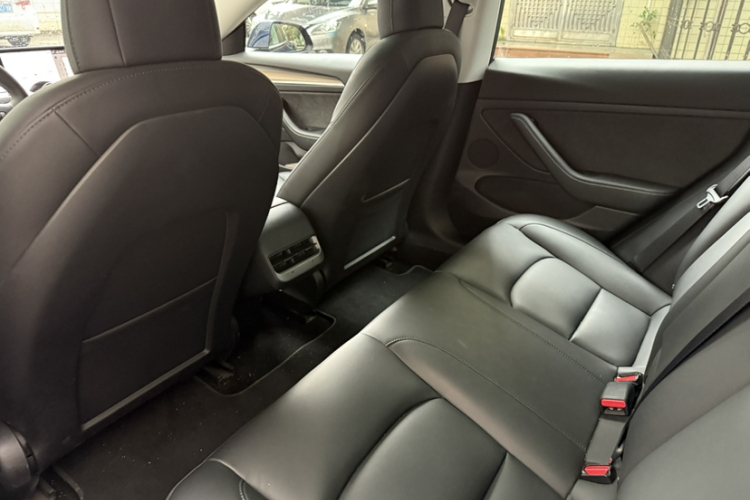 Tesla Model 3 2021 #16 Tesla Model 3 2021 car image #16