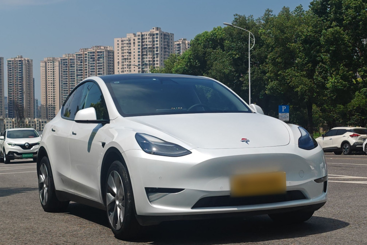 Tesla Model Y 2021 #3 Tesla Model Y 2021 immagine di auto #3