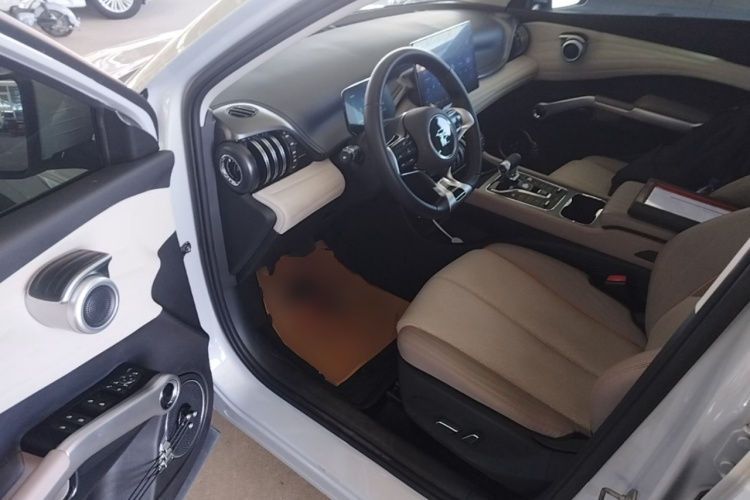 BYD Yuan Plus 2023 car image #16