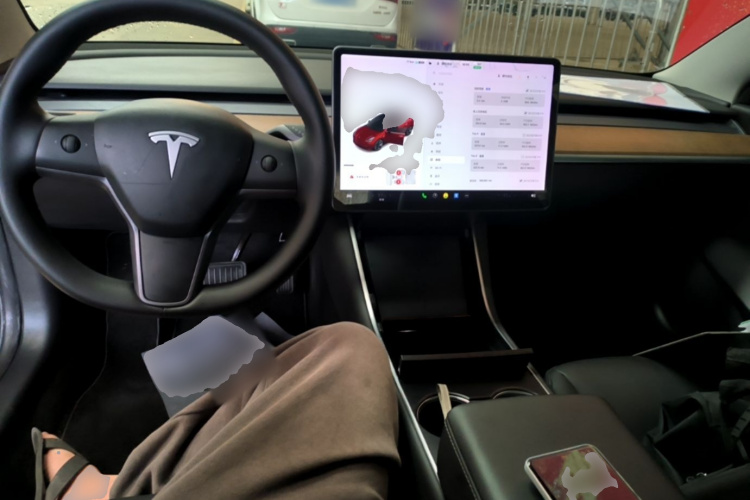 Tesla Model 3 2020 immagine di auto #10