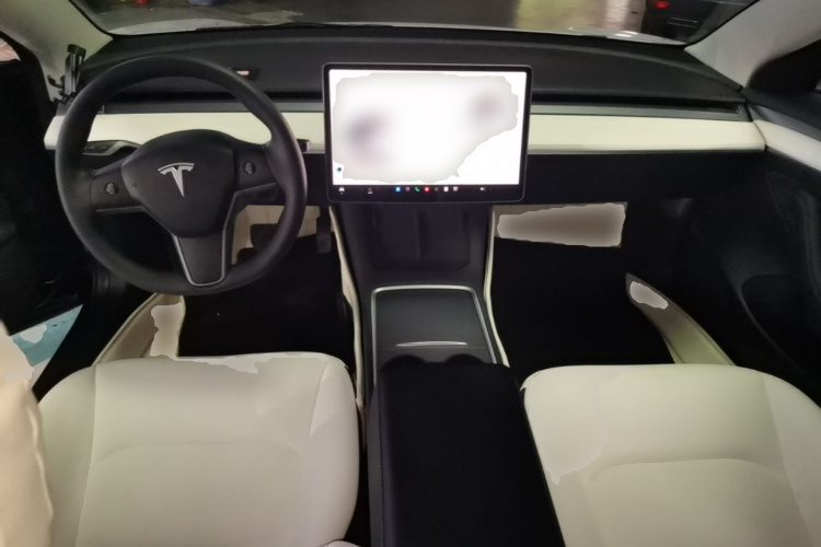 Tesla Model 3 2021 car image #10