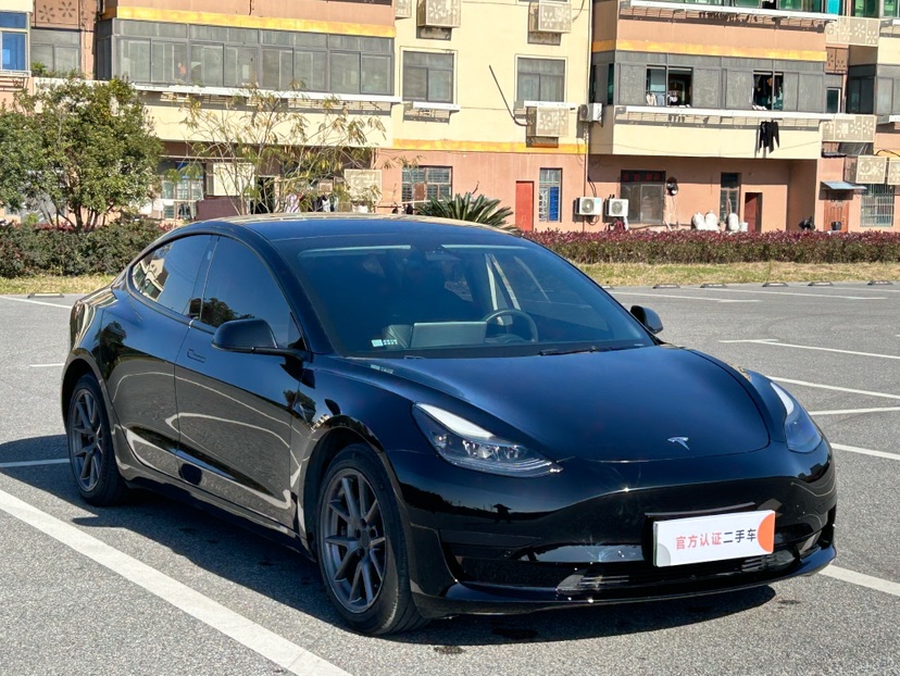 Tesla Model 3 2021 #3 Tesla Model 3 2021 car image #3