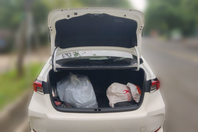 Toyota Corolla 2020 car image #17