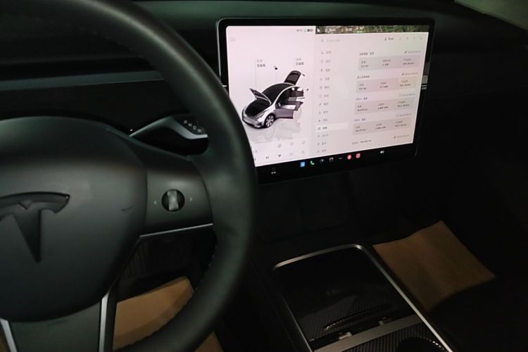Tesla Model Y 2022 car image #14