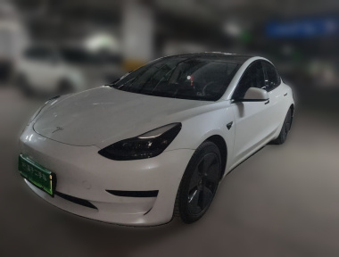 Tesla Model 3 2021 Tesla Model 3 2021 car image