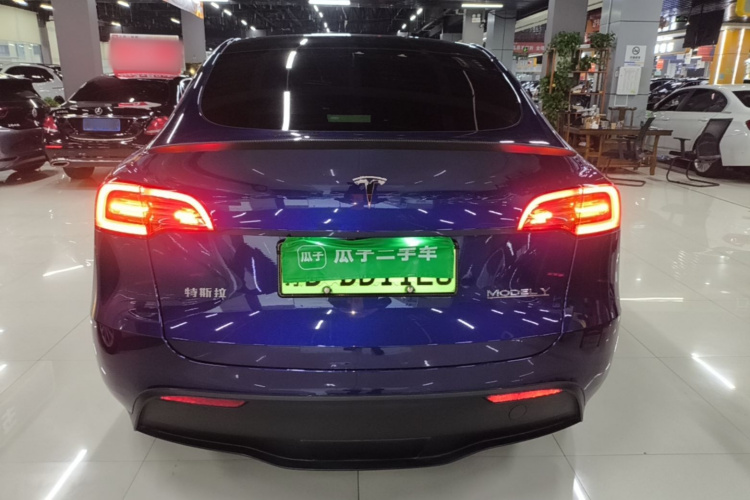 Tesla Model Y 2024 #6 Tesla Model Y 2024 car image #6