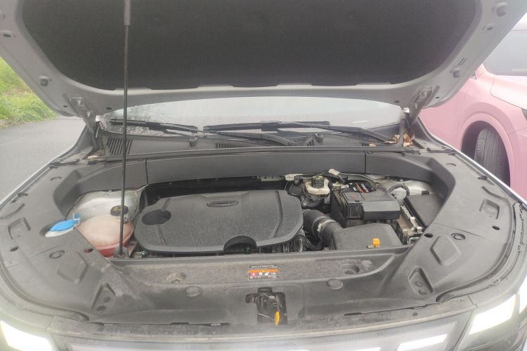 GEELY Boyue L 2024 imagen de coche #20