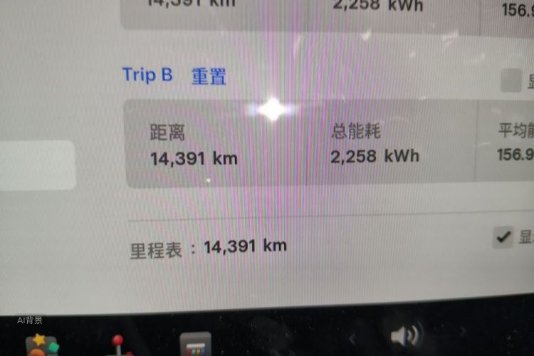 Tesla Model Y 2023 car image #14